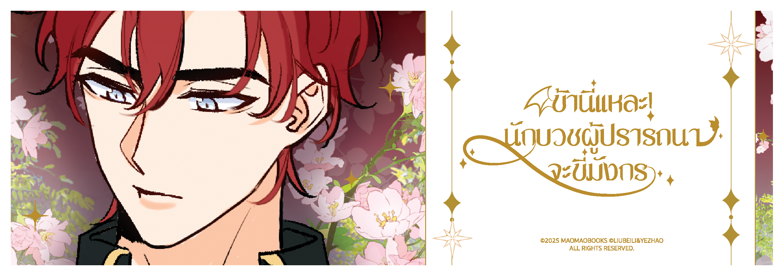 Laser Ticket: Dragon’s Heart [ข้านี่แหละ! นักบวชผู้ปรารถนาจะขี่มังกร] (จัดส่งหลังงานหนังสือ)