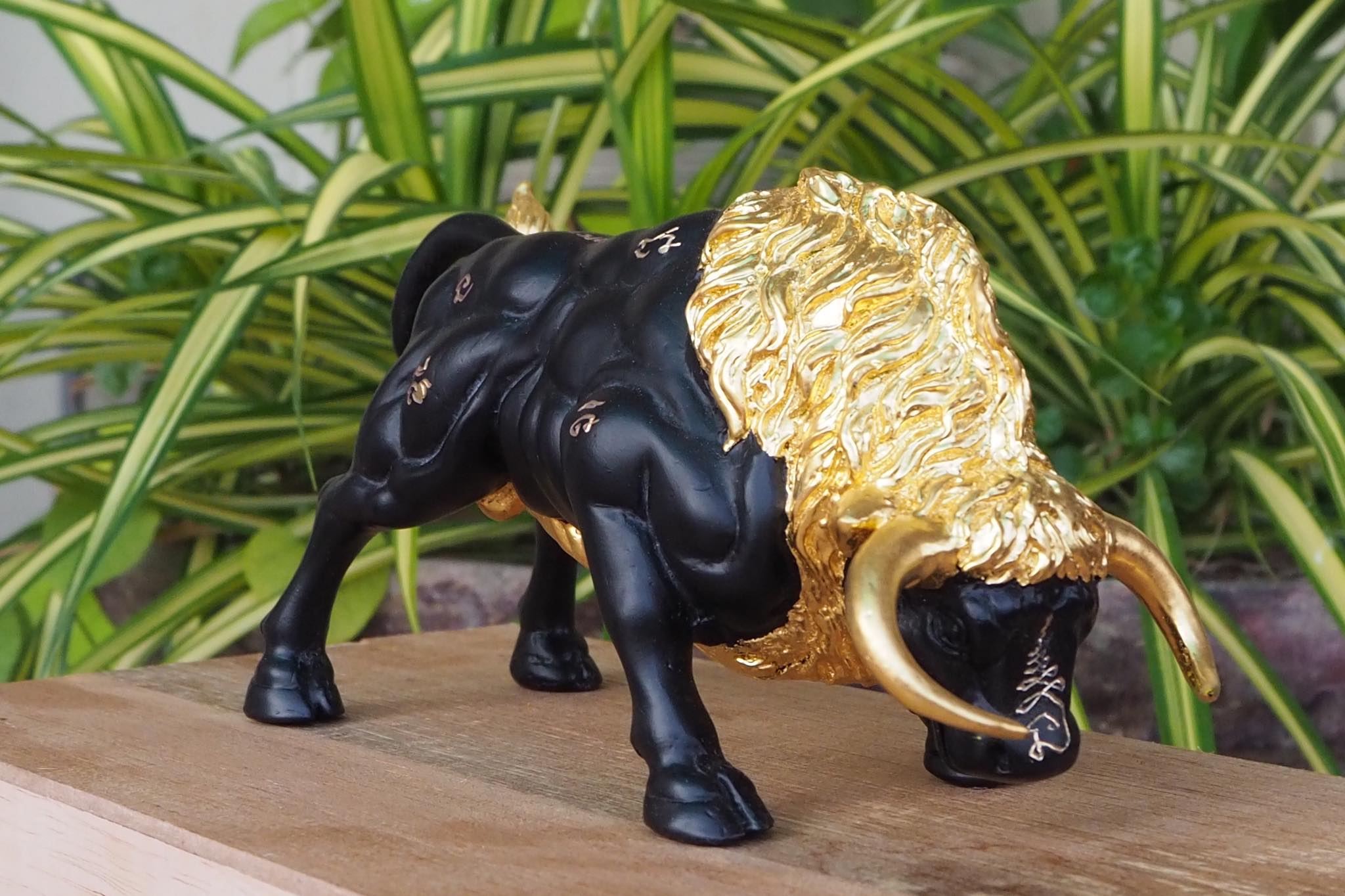 กระทิงมหาอำนาจ ขนาดบูชา จ้าวทองดำ วัดบ้านอ้อ จ.นครราชสีมา