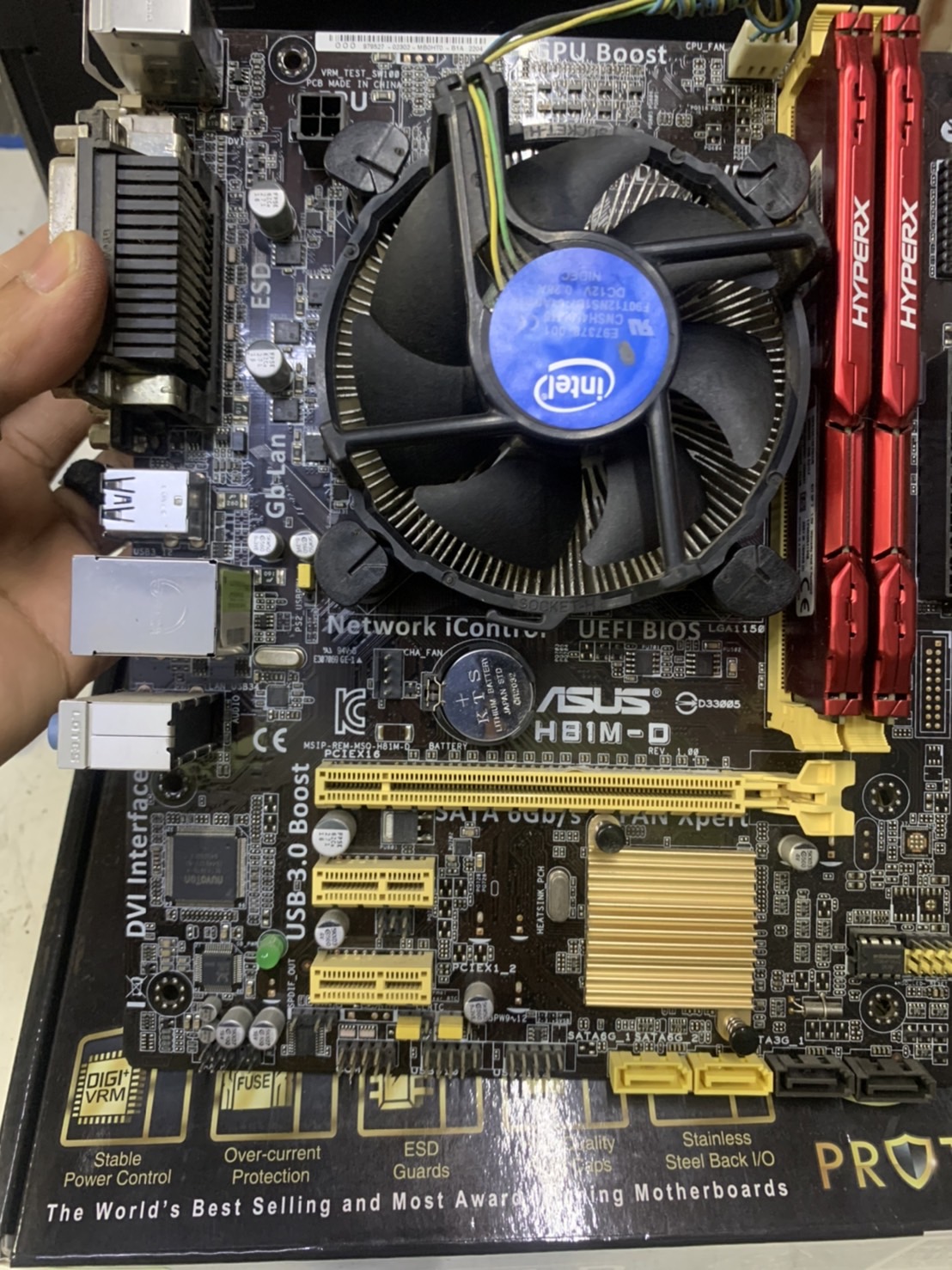 Asus H81M-D
