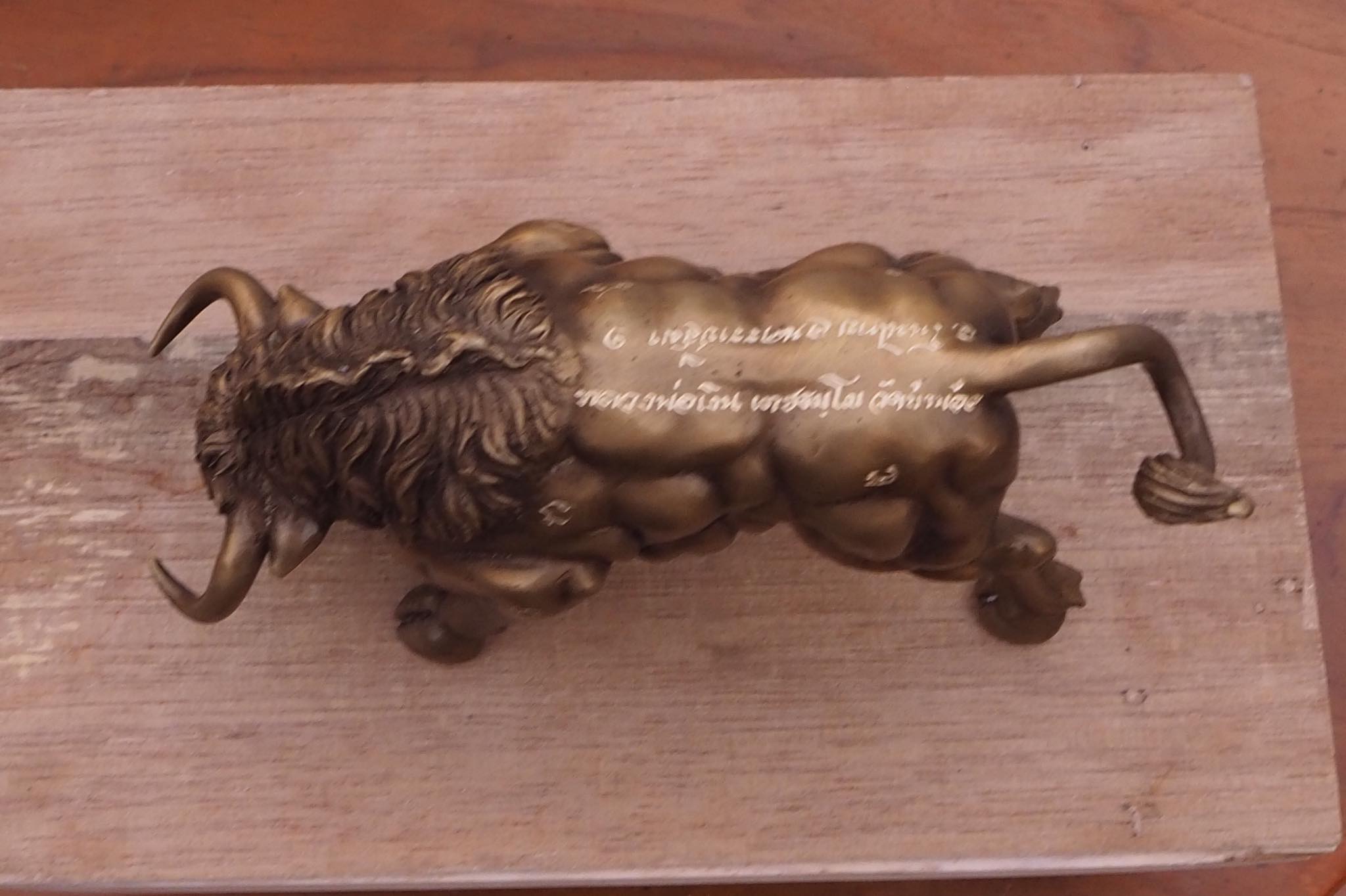 กระทิงมหาอำนาจ จ้าวมันปู วัดบ้านอ้อ อ.โนนไทย จ.นครราชสีมา