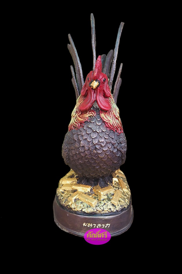 ไก่มหาลาภ พระอุปัชฌาย์เงิน วัดบ้านอ้อ จ.นครราชสีมา