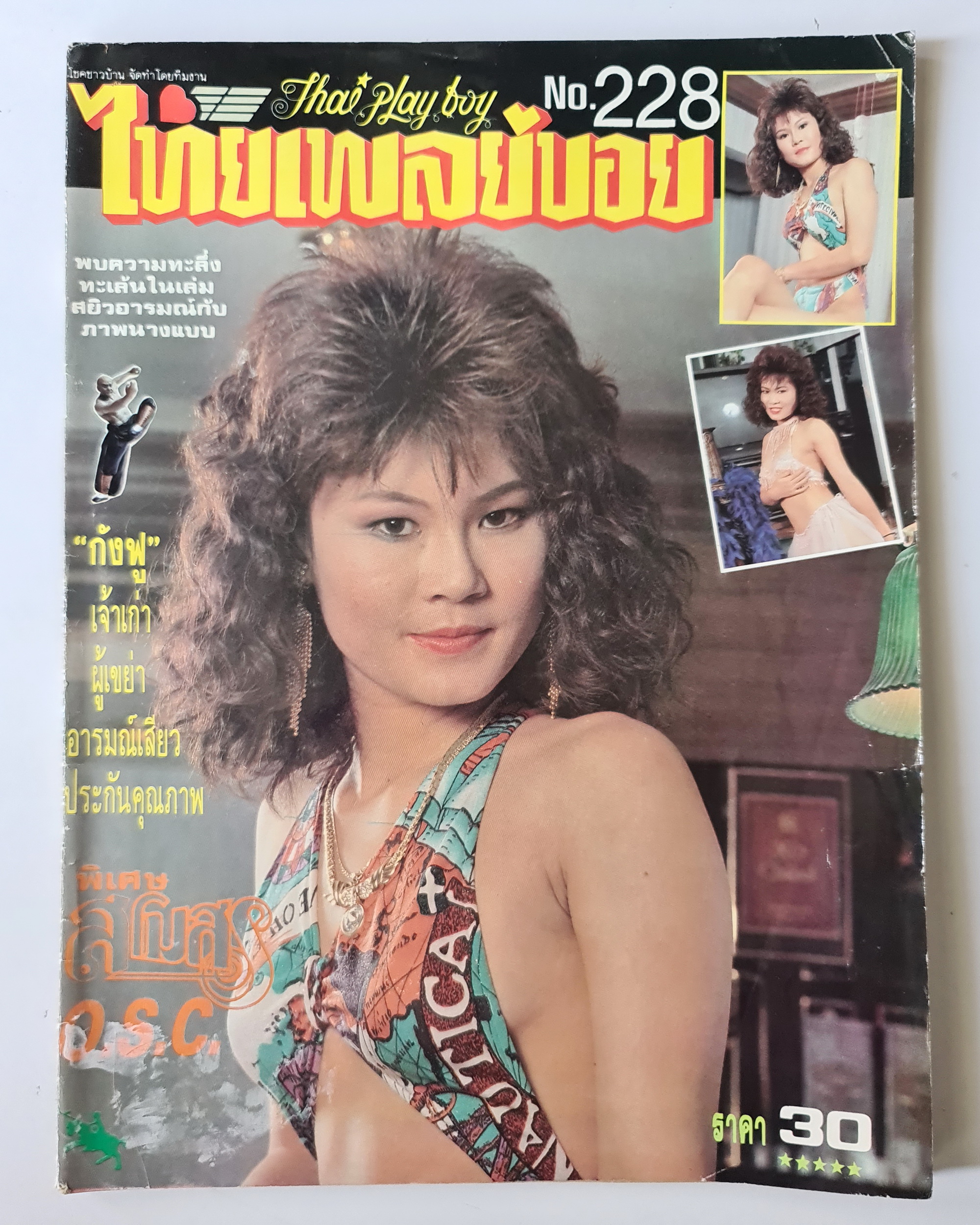 นิตยสาร ไทยเพลย์บอย No.228 โดยกังฟู