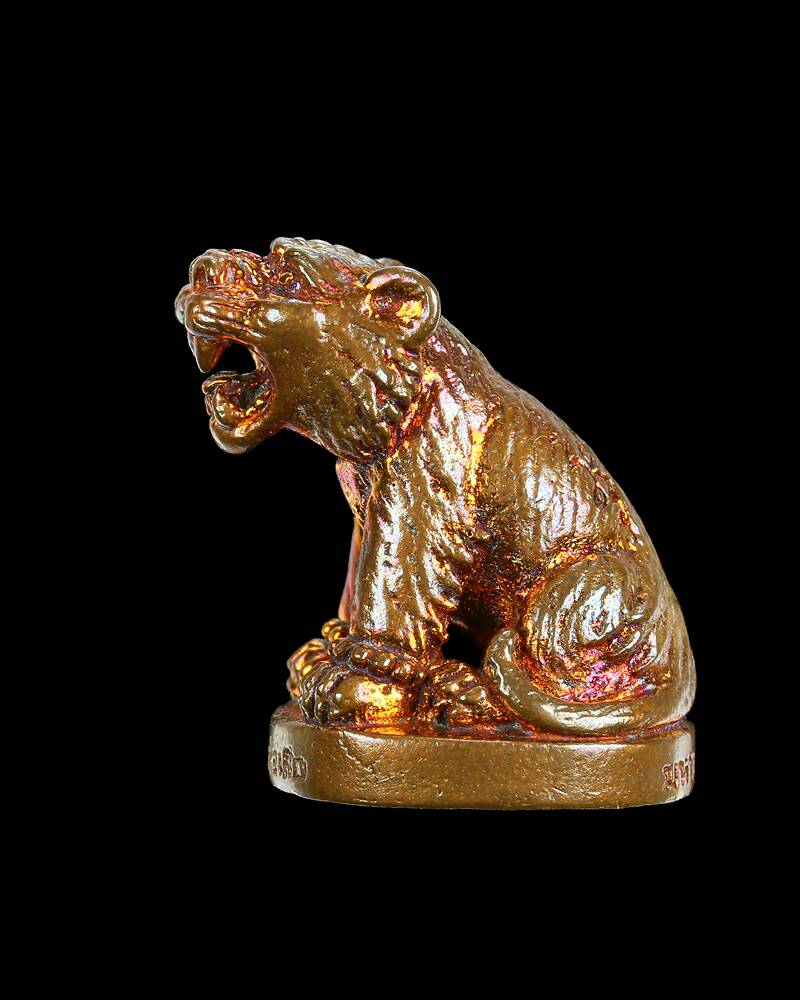 เสือมหาอำนาจ เนื้อทองแดงไม่ปลอกผิว หลวงพ่อเสือ สำนักปฏิบัติธรรมบ้านเขาปูน จ.เพชรบูรณ์