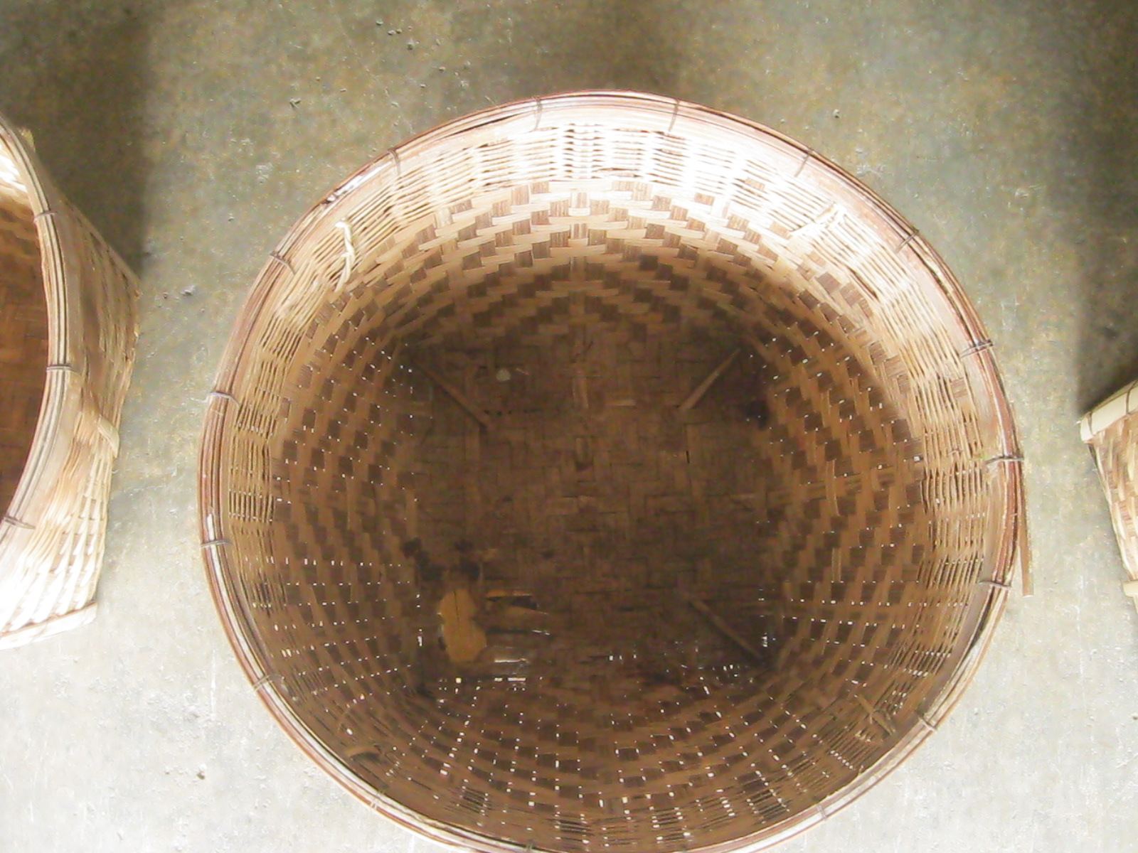 กระบุงสาน (4804)