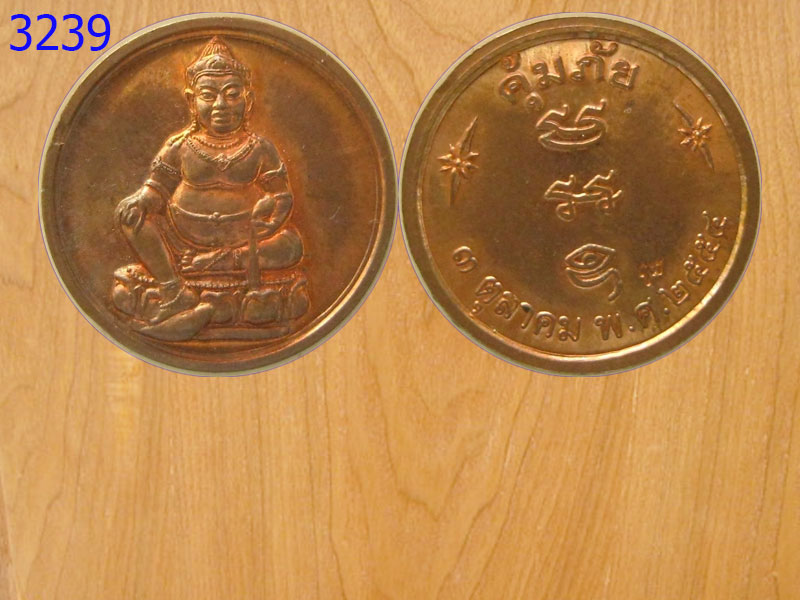 เหรียญคุ้มภัย ปี2554 (3239)