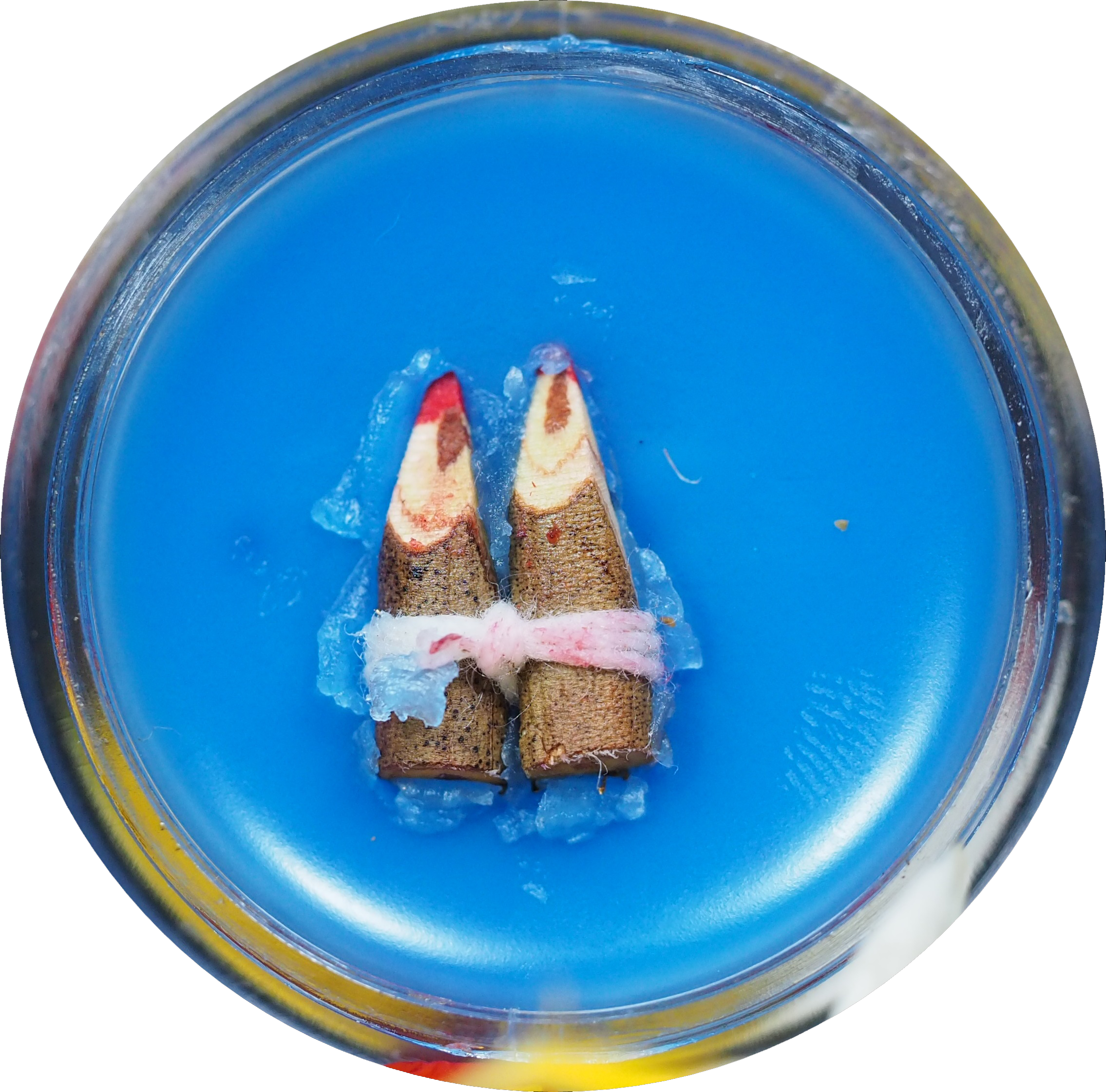 สีผึ้งเมตตามหาเสน่ห์ อาจารย์ประคอง รุ่นเจริญ