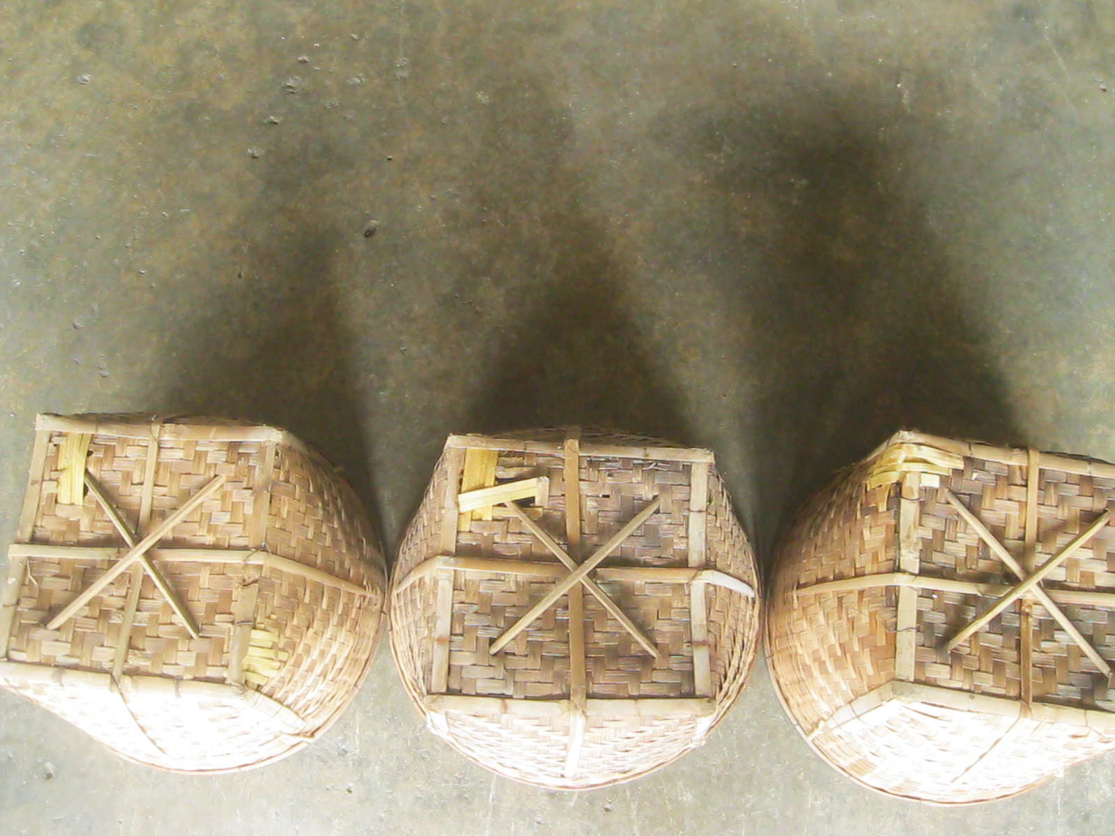 กระบุงสาน (4804)