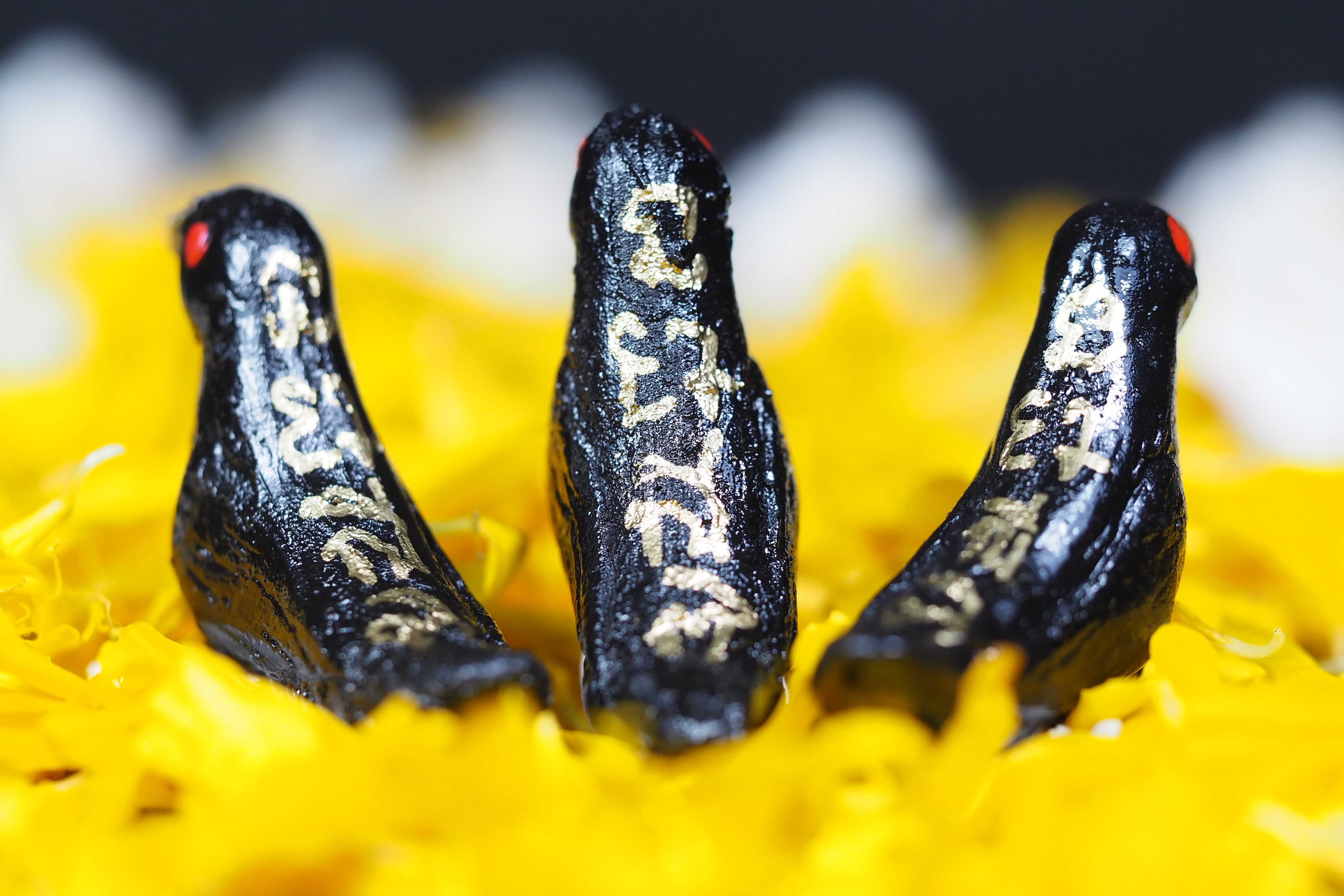 สาลิกามหาลาภ อาจารย์ประคอง รุ่นเจริญ