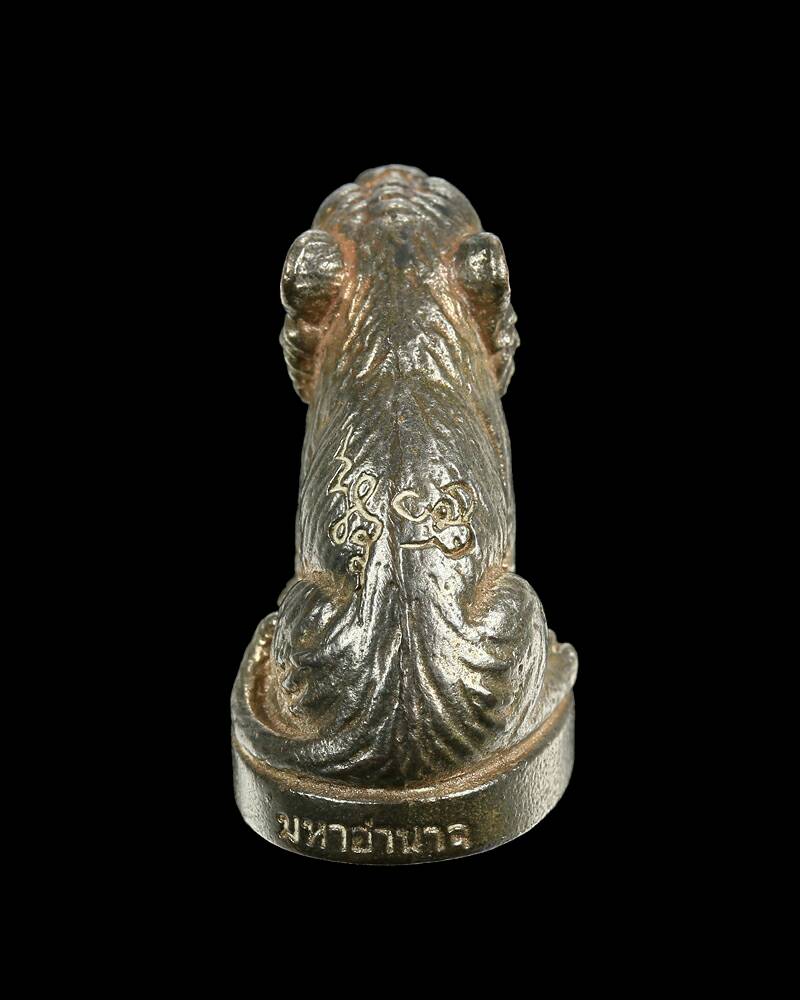 เสือมหาอำนาจ เนื้อนวโลหะ หลวงพ่อเสือ สำนักปฏิบัติธรรมบ้านเขาปูน จ.เพชรบูรณ์