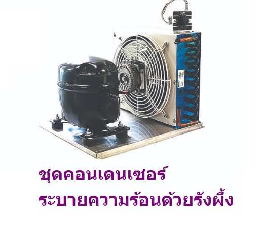 ตู้ทำน้ำเย็น 3 ก๊อก แบบต่อท่อ รังผึ้ง MC-3P