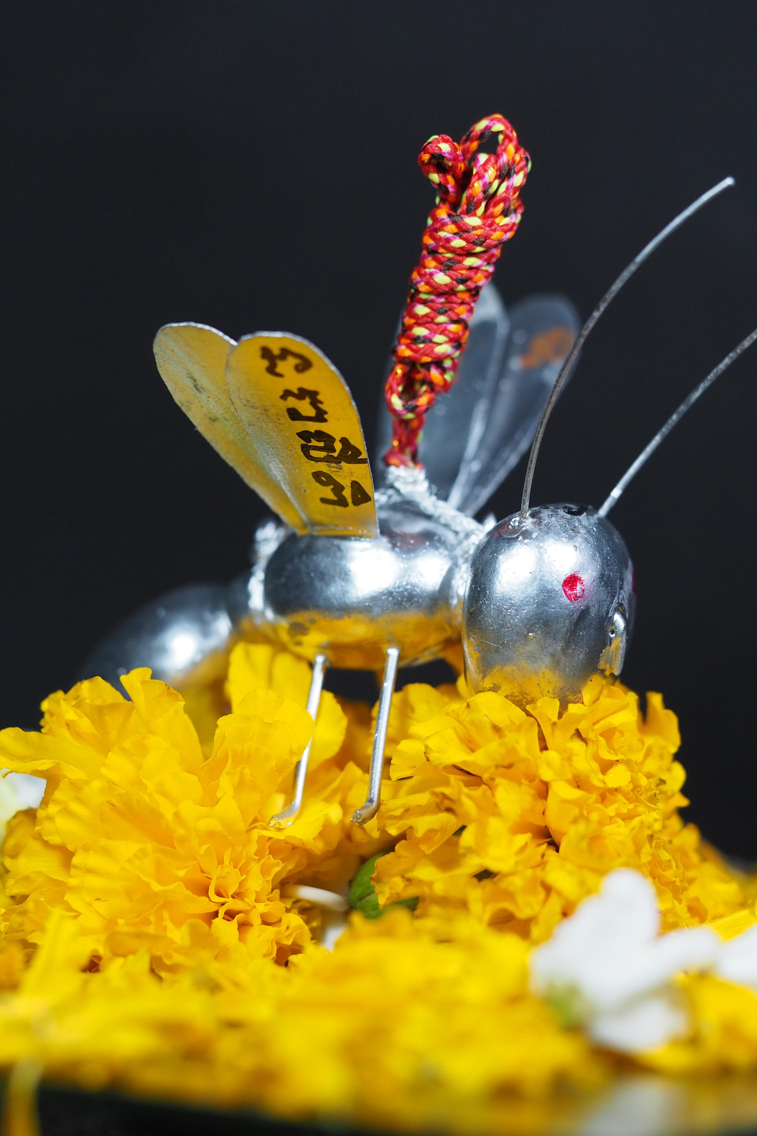 พญาต่อเงิน ต่อทอง อาจารย์ประคอง รุ่นเจริญ