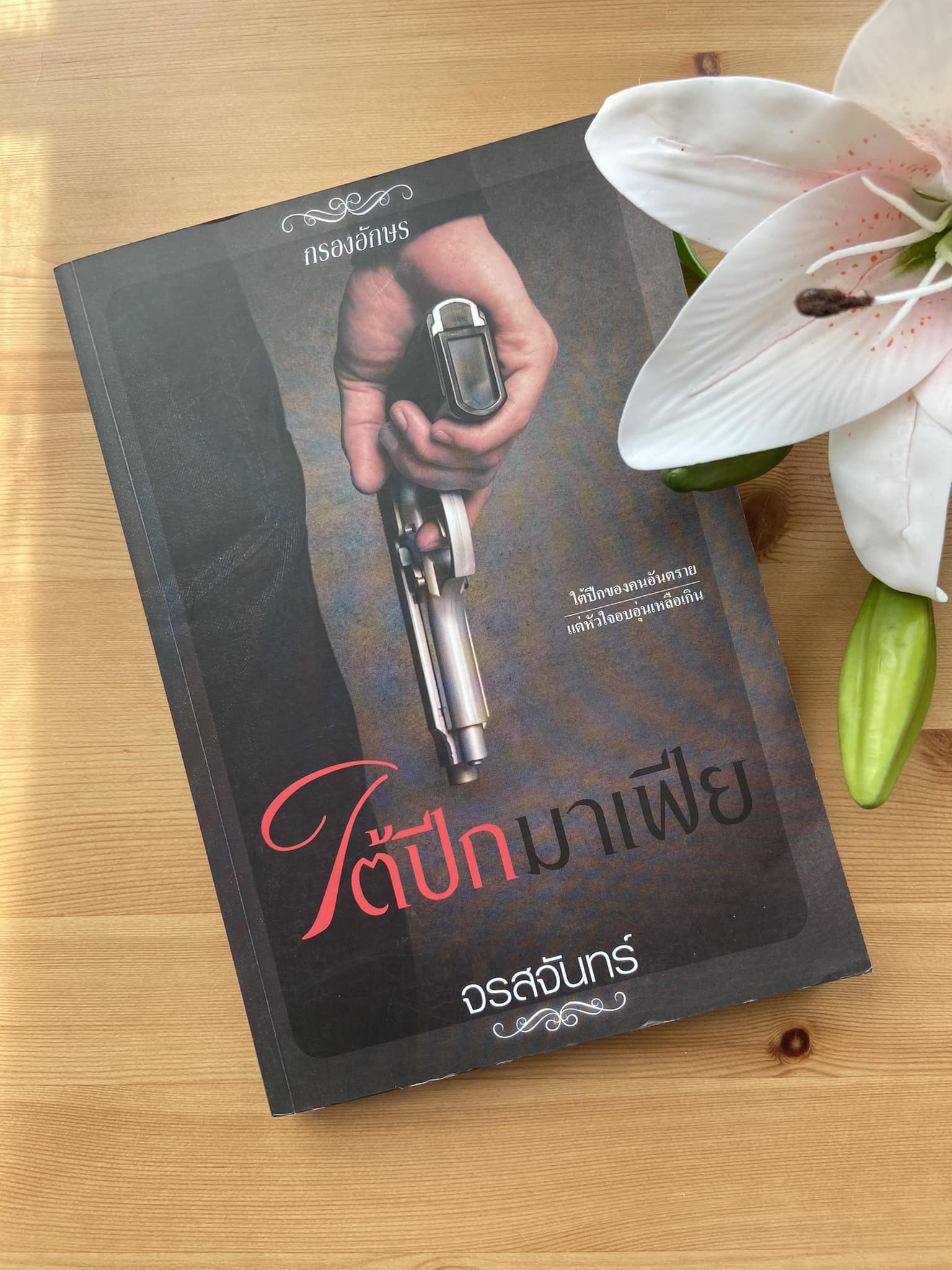 ซีรีส์หวาน ซ่าน ซึ้ง : ใต้ปีกมาเฟีย