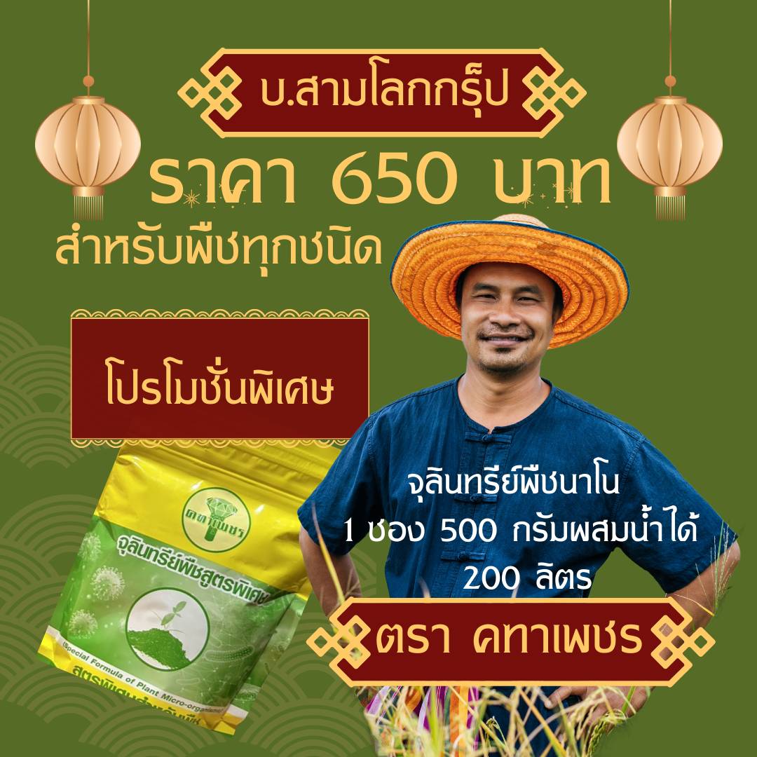 จุลินทรีย์นาโนชนิดผงละลายน้ำ ขนาด 500 กรัม