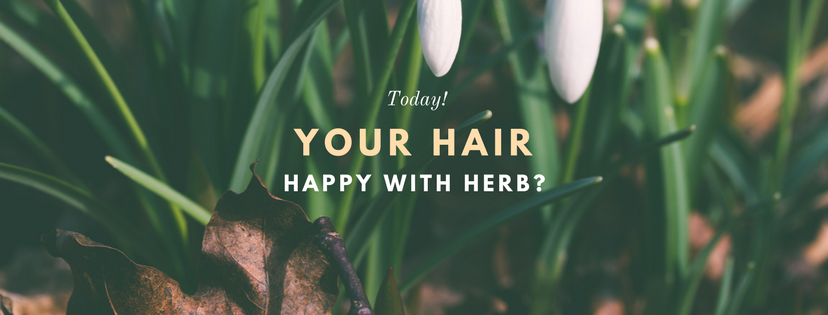hairlossless