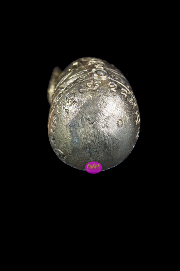 เสือมหาบารมี เนื้อทองทิพย์ หลวงพ่อโปร่ง วัดถ้ำพรุตะเคียน จ.ชุมพร