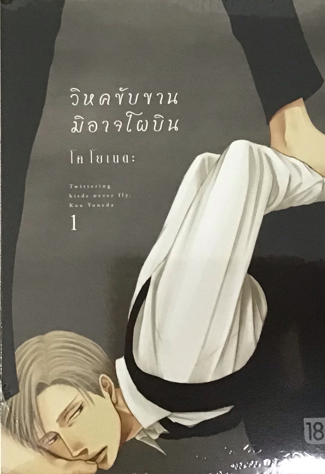 วิหคขับขานมิอาจโผบิน เล่ม 1