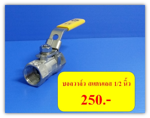 บอลวาล์ว สแตนเลส 316 เกลียว BSP ขนาด 1/2 นิ้ว Ball Valve SS316/CF8M BSP Thread DN15