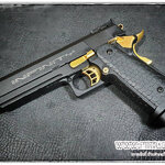 ปืนสั้นระบบแก๊สโบลว์แบล็ค รุ่น Hicapa5.1 Infinity Gold (DB795) จาก Double Bell