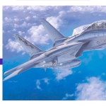 1/72 F-14A Tomcat Low Visibility by Hasegawa (HA00532)