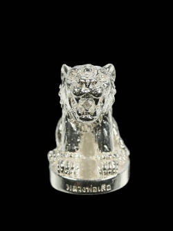 เสือมหาอำนาจ เนื้อเงิน หลวงพ่อเสือ สำนักปฏิบัติธรรมบ้านเขาปูน จ.เพชรบูรณ์