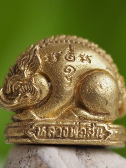 หมูเศรษฐี (หมูจิ๋ว) เนื้อทองระฆัง หลวงพ่อสิน วัดระหารใหญ่ อ.บ้านค่าย จ.ระยอง