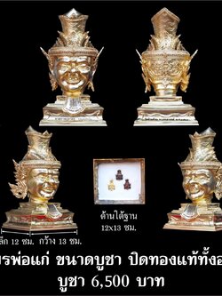 เศียรพ่อแก่ รุ่นชาตกาลบูชาครู ปุญญกาโม๖๔ เนื้อโลหะปิดทองแท้ทั้งองค์ หลวงพ่อพัฒน์ วัดห้วยด้วน จ.นครสวรรค์