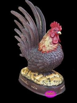 ไก่มหาลาภ พระอุปัชฌาย์เงิน วัดบ้านอ้อ จ.นครราชสีมา