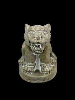 เสือมหาอำนาจ เนื้อทองขาว หลวงพ่อเสือ สำนักปฏิบัติธรรมบ้านเขาปูน จ.เพชรบูรณ์