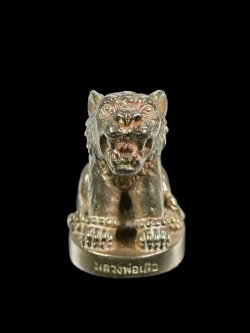 เสือมหาอำนาจ เนื้อนวโลหะ หลวงพ่อเสือ สำนักปฏิบัติธรรมบ้านเขาปูน จ.เพชรบูรณ์