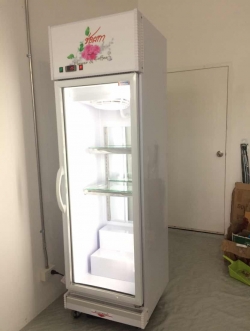 ตู้แช่ดอกไม้ 1 ประตู FM-61 (12Q)