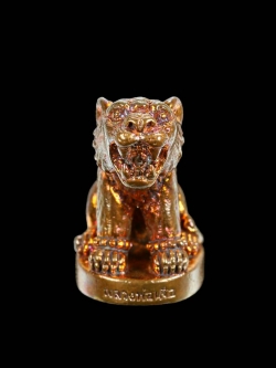 เสือมหาอำนาจ เนื้อทองแดงไม่ปลอกผิว หลวงพ่อเสือ สำนักปฏิบัติธรรมบ้านเขาปูน จ.เพชรบูรณ์