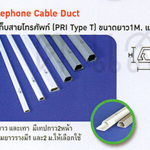 รางโทรศัพท์ รางPVC รางวายดัท