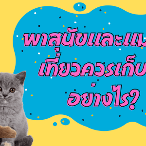 เก็บยา Vetmedin อย่างไรเมื่อไปเที่ยว