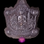 เหรียญพญาเต่ารับทรัพย์ เนื้อชนวนหน้ากากทองแดงผิวไฟ หลวงพ่อพัฒน์ วัดห้วยด้วน จ.นครสวรรค์
