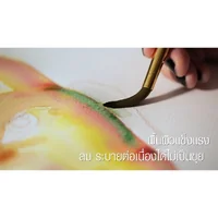 (ยกแพ็ค) 50แผ่น กระดาษวาดเขียน A3 200แกรม กระดาษสีน้ำ เรนาซองซ์ แบบผิวหยาบและผิวเรียบ (ยกแพ็ค) 50แผ่น กระดาษวาดเขียน A3 200แกรม กระดาษสีน้ำ เรนาซองซ์ แบบผิวหยาบและผิวเรียบ