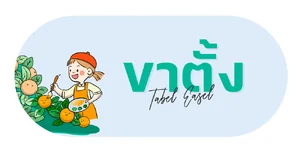 ขาตั้ง