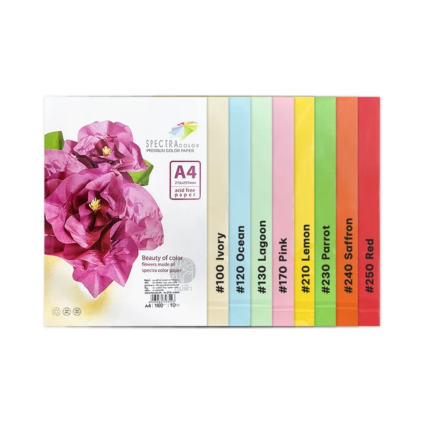 กระดาษสี กระดาษการ์ดสี Spectra ขนาด A4 160แกรม 10แผ่น image 2