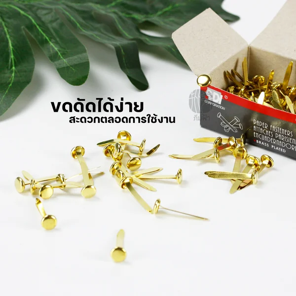 SDI หมุดลิ้นแฟ้ม โลหะ 2 ขา (เป็กทองเหลือง) 1 กล่อง image 2 SDI หมุดลิ้นแฟ้ม โลหะ 2 ขา (เป็กทองเหลือง) 1 กล่อง image 2